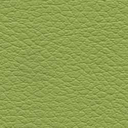 melon-green-2347.jpg